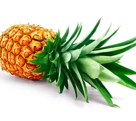 Pineapple.Photo_.82.JPG.Thmb_